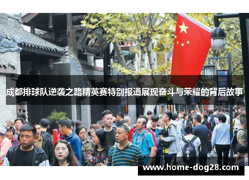 成都排球队逆袭之路精英赛特别报道展现奋斗与荣耀的背后故事