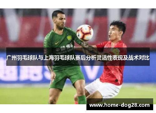 广州羽毛球队与上海羽毛球队赛后分析灵活性表现及战术对比