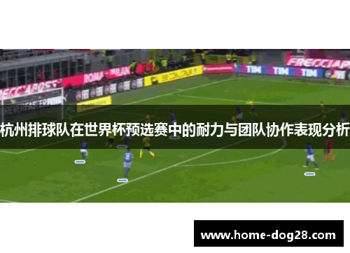 杭州排球队在世界杯预选赛中的耐力与团队协作表现分析