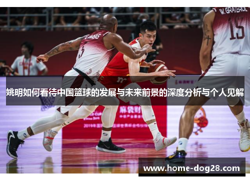 姚明如何看待中国篮球的发展与未来前景的深度分析与个人见解