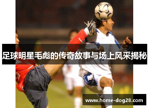 足球明星毛彪的传奇故事与场上风采揭秘